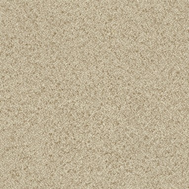 Harris Sesame Curtains
