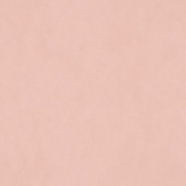 Larah Rose Roman Blind