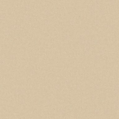 Shani Oat Roman Blind