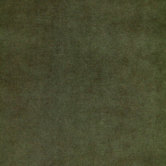 Cosmos Olive Velvet Fabric
