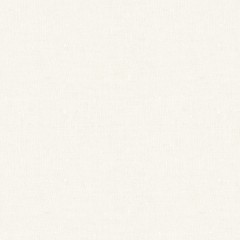Asha Alabaster Woven Fabric