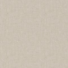 Fabric Asha Taupe Plain Flat