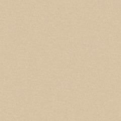 Fabric Shani Oat Plain Flat