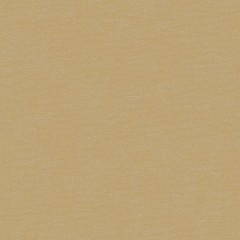 Fabric Shani Ochre Plain Flat