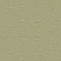 Shani Olive Woven Fabric