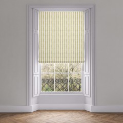 Tassa Petite Asparagus Roman Blind