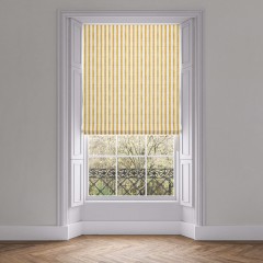 Tassa Petite Gold Roman Blind