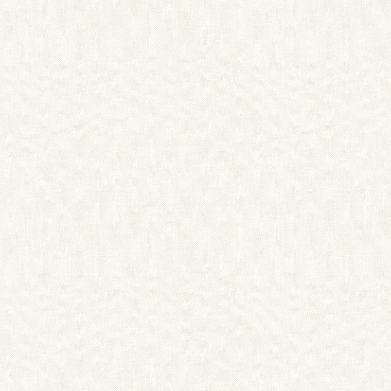 Asha Alabaster Woven Fabric