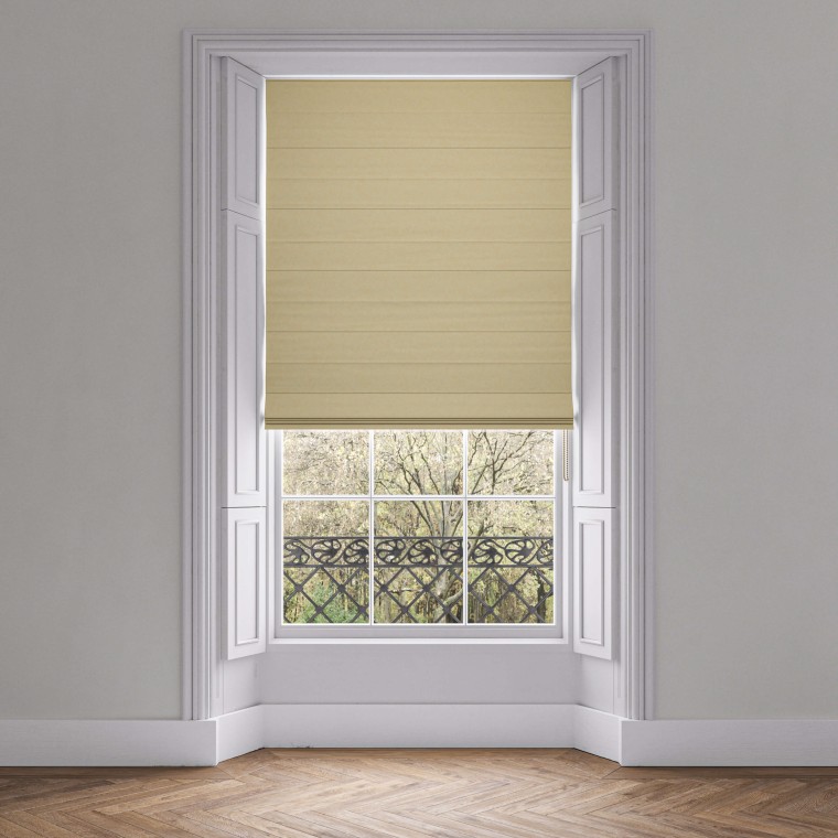 Shani Moss Roman Blind