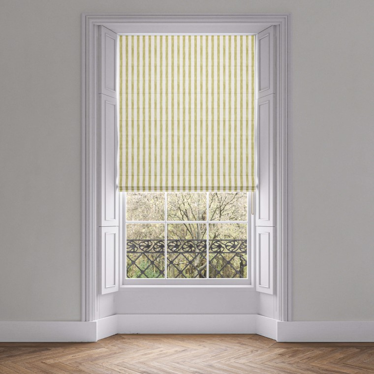 Tassa Petite Asparagus Roman Blind