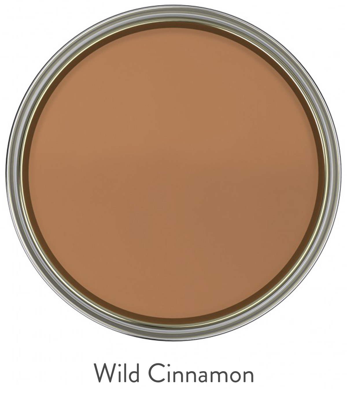 The Pure Edit Wild Cinnamon Paint